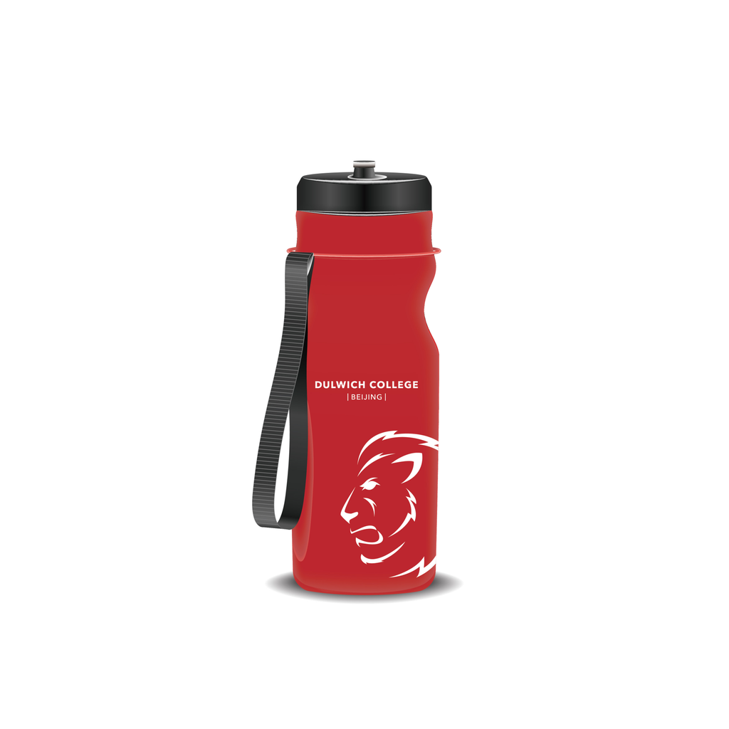 DCB Lions Water Bottle