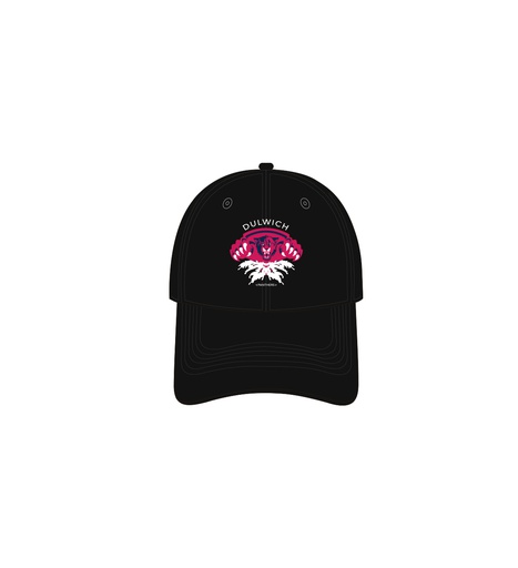 AquaPanther Team Hat