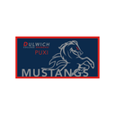 DCSPX Mustangs 泳巾