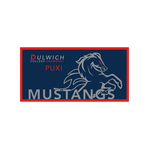[PXDRY7049LB018M] DCSPX Mustangs 泳巾
